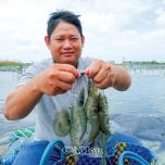 Nguyễn Văn Dũng